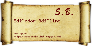 Sándor Bálint névjegykártya