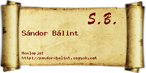 Sándor Bálint névjegykártya